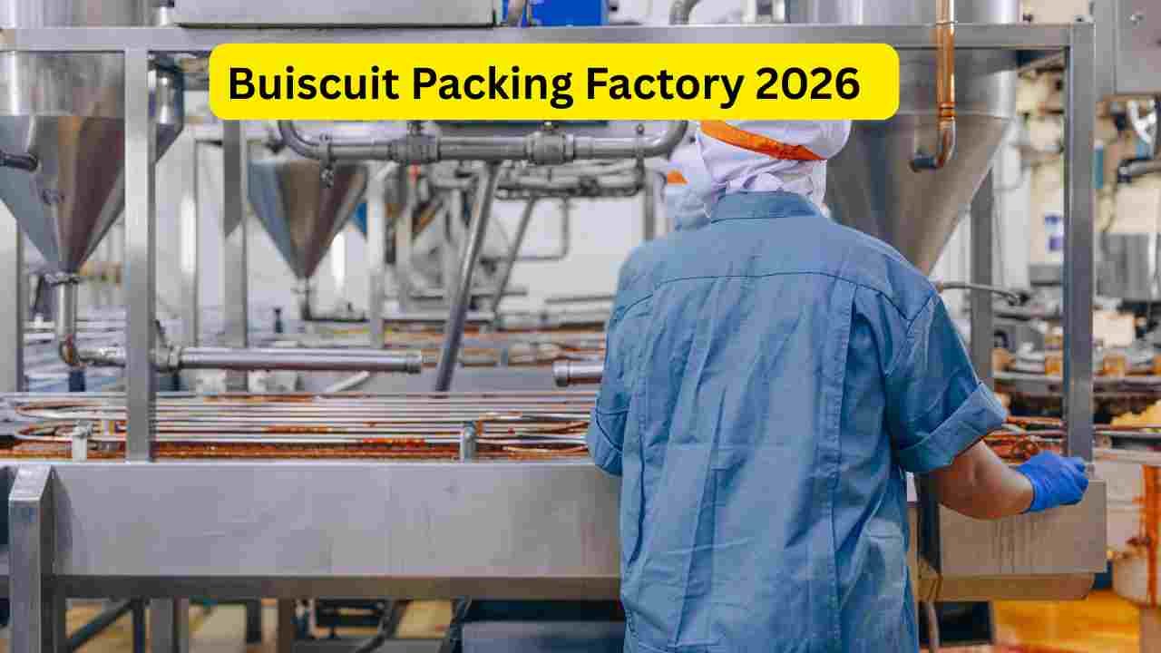Snack Factory Jobs 2026 – Eligibility, Salary & Career Guide Snack Factory Jobs 2026 – Eligibility, Salary & Career Guide