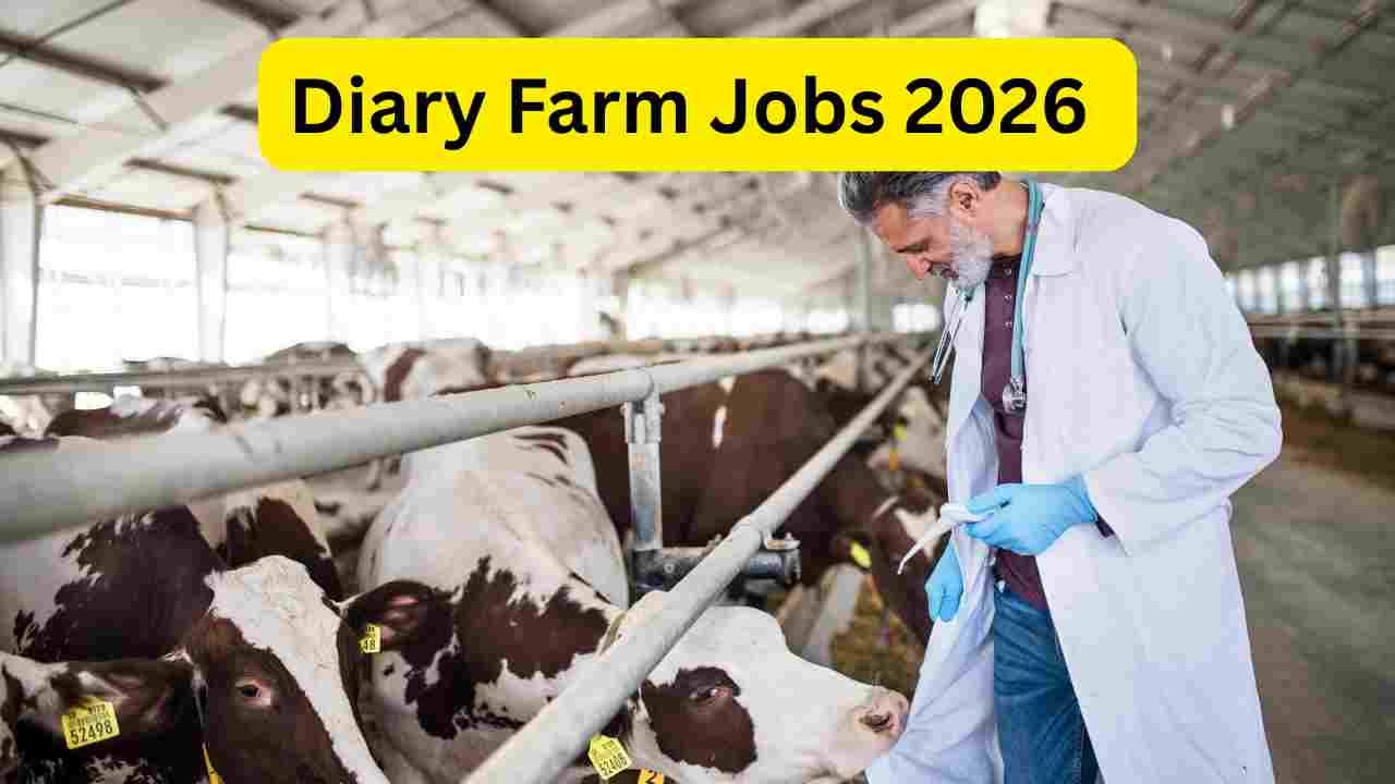 Big Bazaar Warehouse Jobs 2026 – Complete Career Guide for Inventory, Packing & Logistics Staff