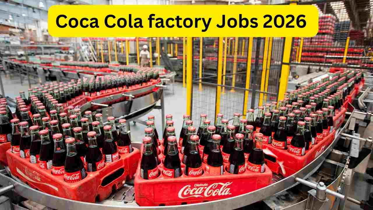 Bus Conductor Jobs 2026 – Complete Career Guide for Ticketing Staff & Public Transport Conductors