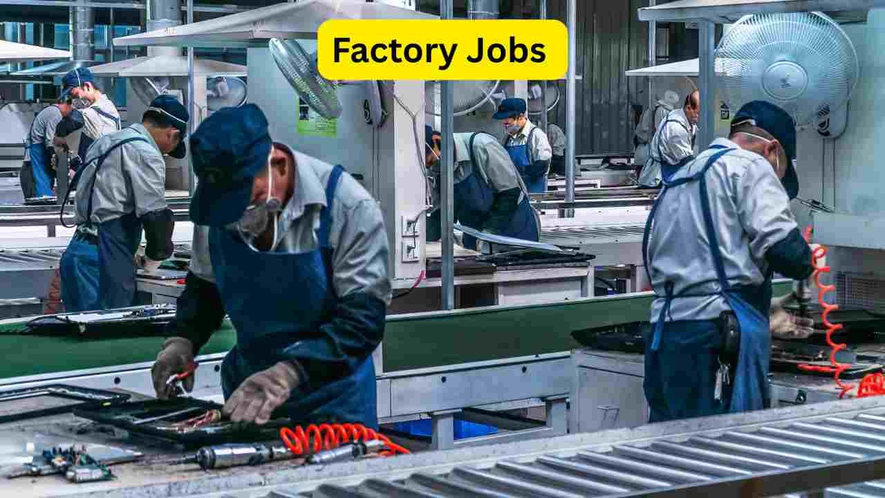 Packing Jobs 2026 – Complete Career Guide for Warehouse Packing & Manufacturing Packaging Careers Packing Jobs 2026 – Complete Career Guide for Warehouse Packing & Manufacturing Packaging Careers