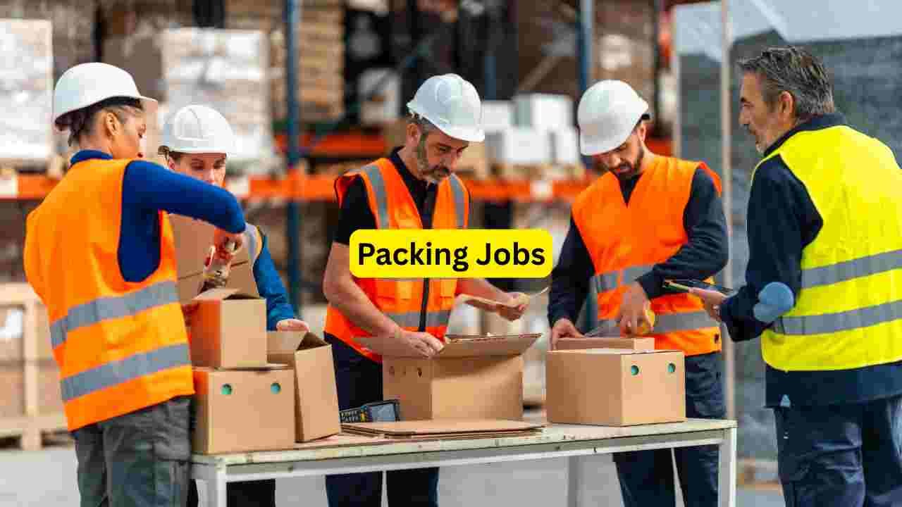 Biscuit Packing Jobs 2026