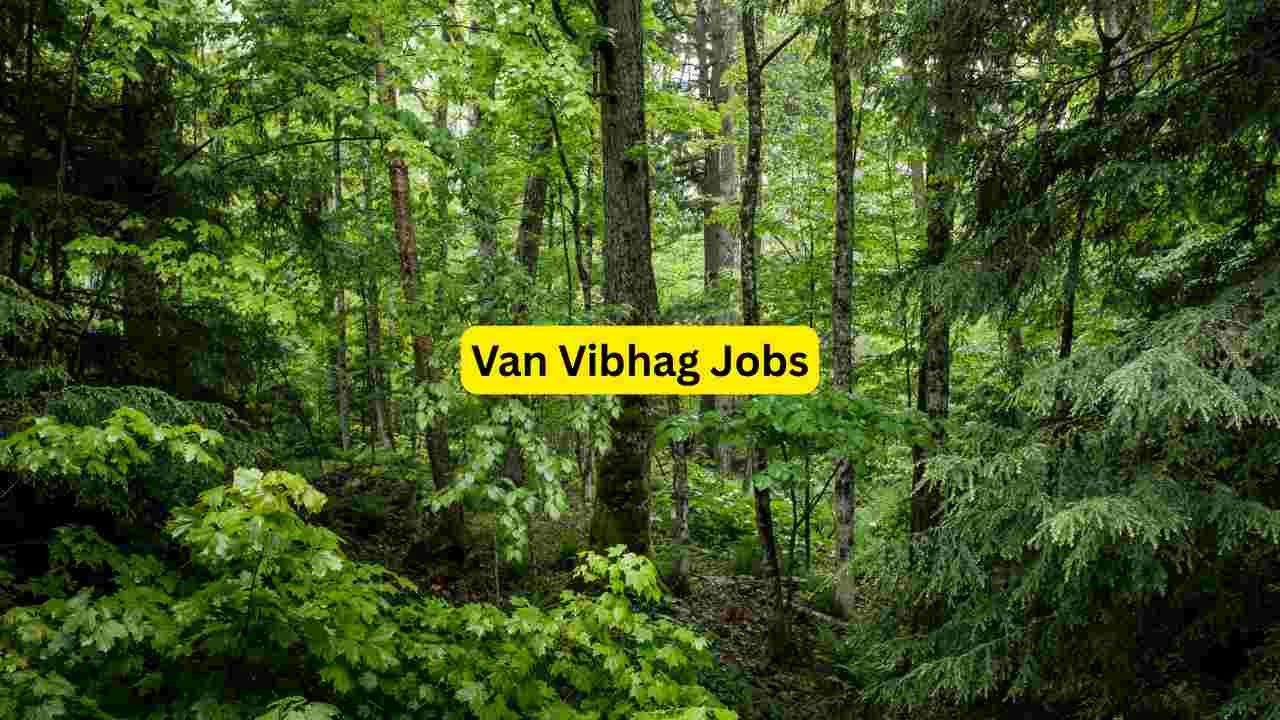 Blinkit Jobs 2026 Blinkit Jobs 2026